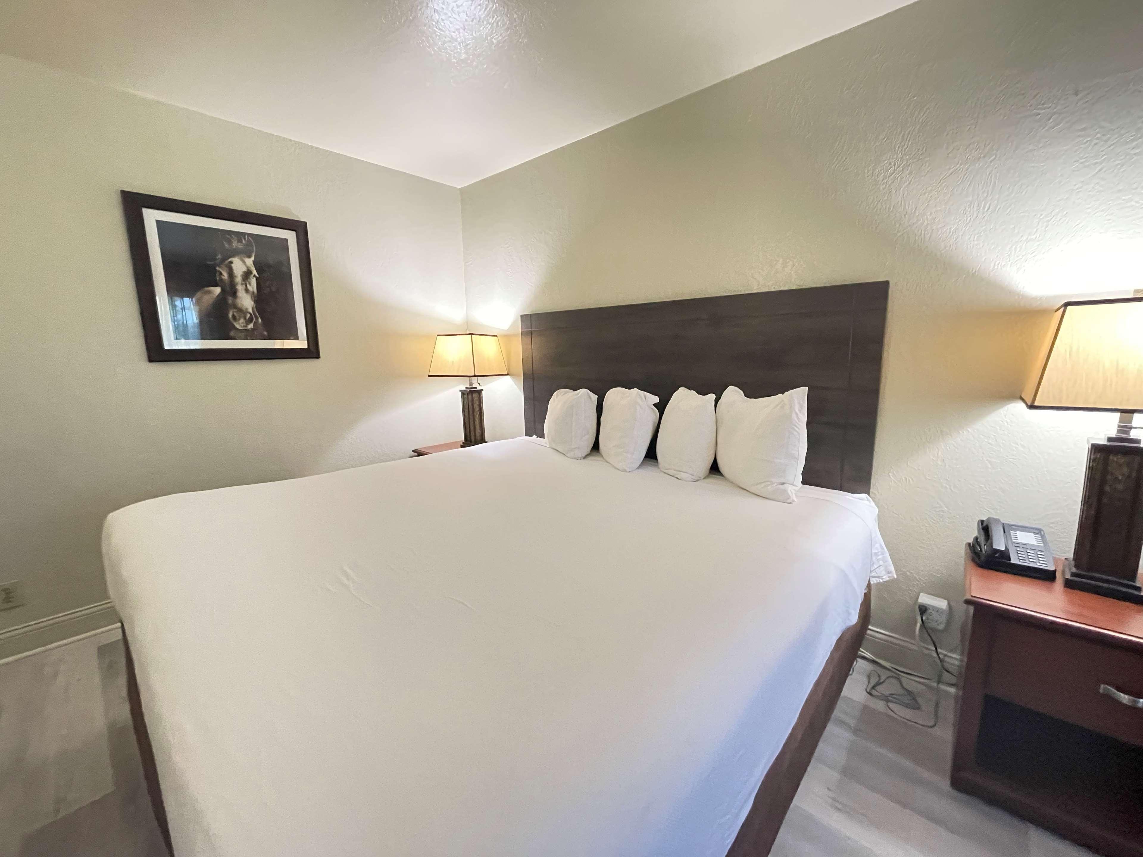 Surestay Plus By Best Western Лотон Экстерьер фото