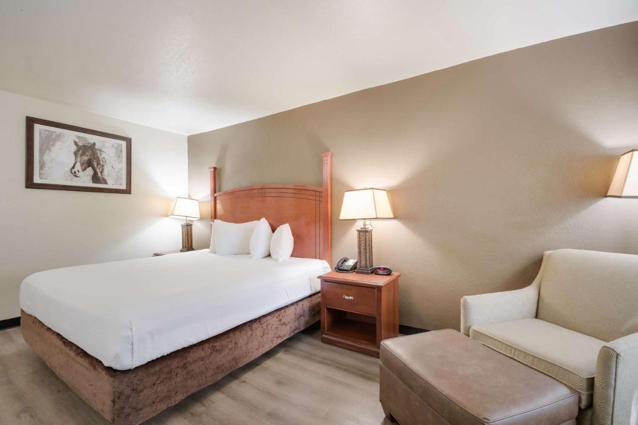 Surestay Plus By Best Western Лотон Экстерьер фото