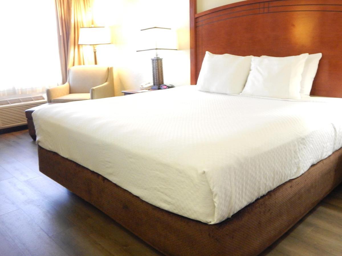 Surestay Plus By Best Western Лотон Экстерьер фото